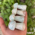 4 Pcs Beautiful Caribbean Calcite Mushrooms