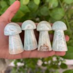 4 Pcs Beautiful Caribbean Calcite Mushrooms