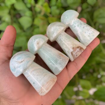 4 Pcs Beautiful Caribbean Calcite Mushrooms, Calcite Mushroom, Calcite Mushrooms, Calcite, Caribbean Calcite Mushroom, Calcite Blue Mushroom