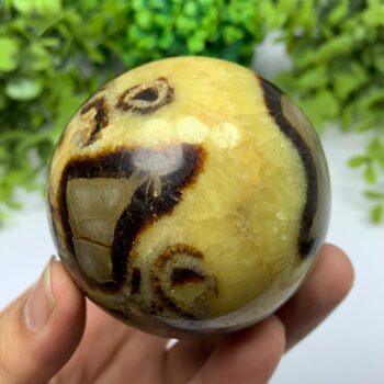 455g Best Quality Septarian Sphere