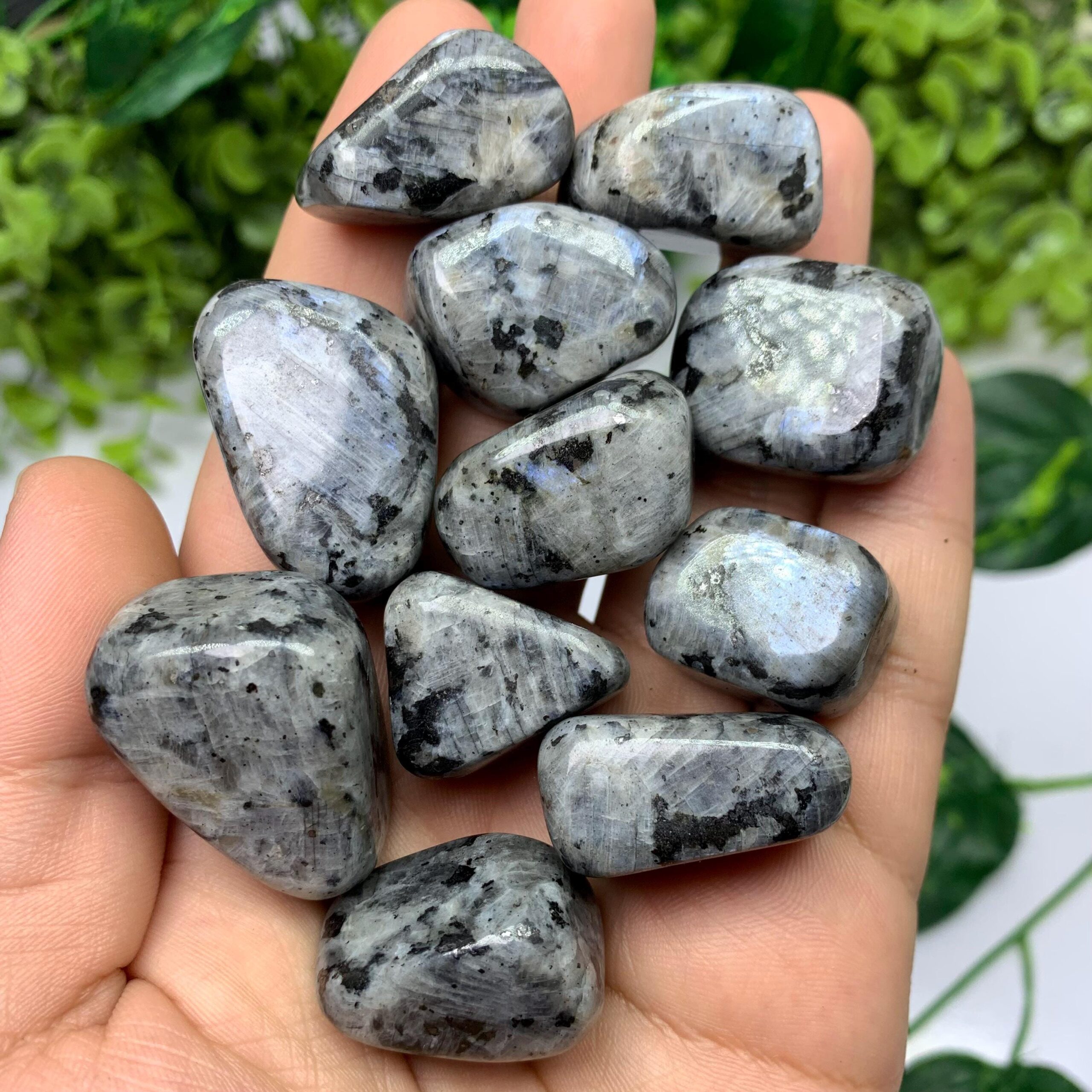 Larvikite Tumble Larvikite Tumble