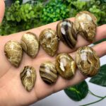 9 Pcs Beautiful Brown Chocolate Calcite Cabochons