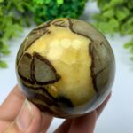 378g Top Quality Septarian Sphere