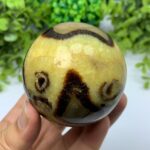 455g Best Quality Septarian Sphere