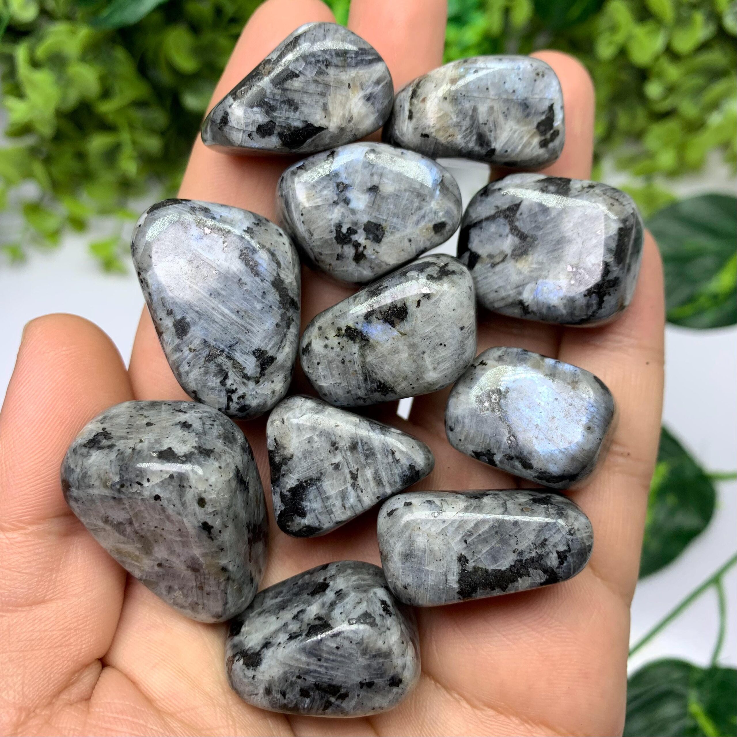 Larvikite Tumble Stones Larvikite Tumble Stones