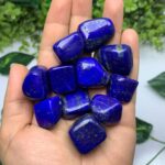 225g Best Quality Lapis Lazuli Tumbles