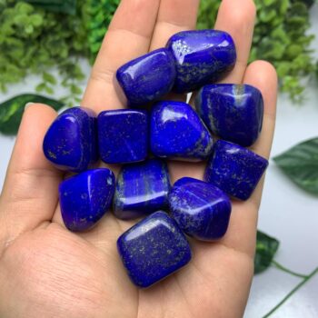 225g Best Quality Lapis Lazuli Tumbles