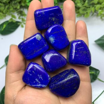 260g Best Quality Lapis Lazuli Tumbles