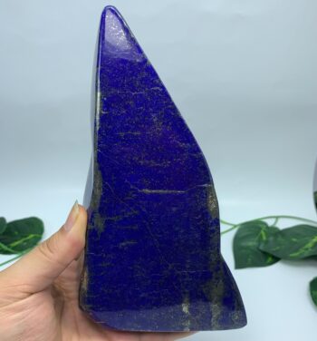 2.68 Lbs Top Quality Lapis Lazuli Blue Free Form