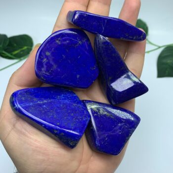 5 Pieces Best Quality Lapis Lazuli Blue Free Forms, Lapis Lazuli, Lapis  Free Forms, Lapis Lazuli Crystal Free Form, Lapis Lazuli Free Form
